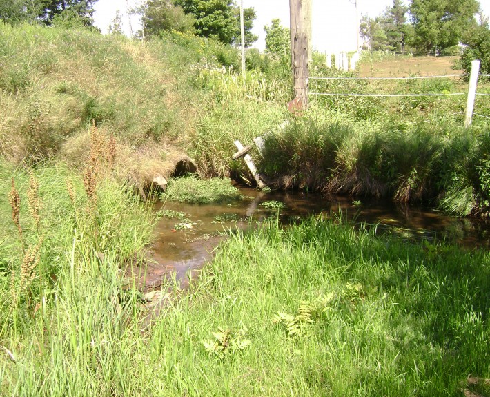 Rivière Cugnet, Saint-Lambert-de-Lauzon  © COBARIC, 2012