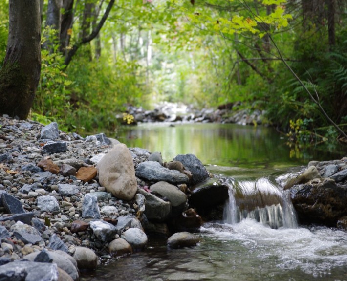 Seuils sur la rivière Cugnet à Saint-Lambert-de-Lauzon (COBARIC, 2014)