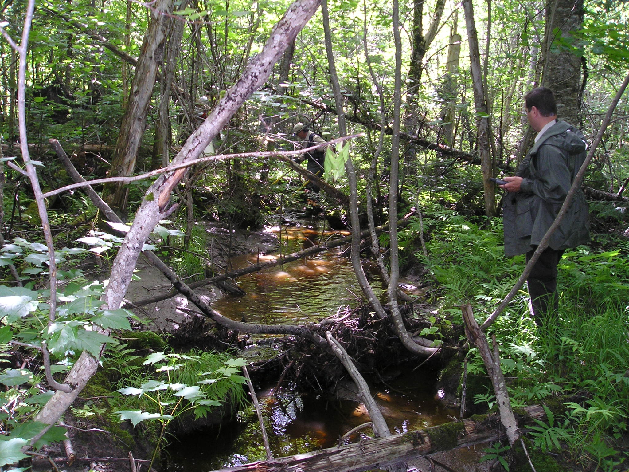Plan d'intervention du bassin versant de la rivière du Portage COBARIC