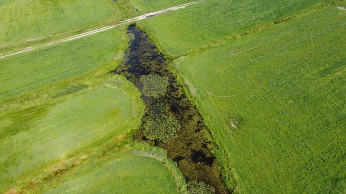 Vue aérienne de la rivière Des Fermes, on l'on distingue des bancs circulaires de végétation aquatique.