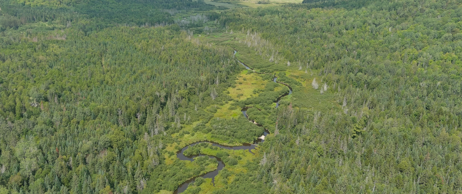 Vue aérienne de la rivière, paysage vallonné et cours d'eau avec méandres