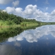 Vue sur le lac prise à bord d'un canot, vue sur la végétation aquatique en boprdure du lac.