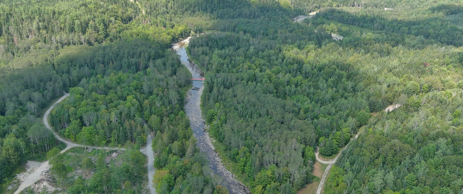 Vue aerienne riviere Samson Vue aérienne de la rivière Samson