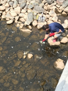 Personne remplissant un flacon dans la rivière pour analyse phsysico-chimique.
