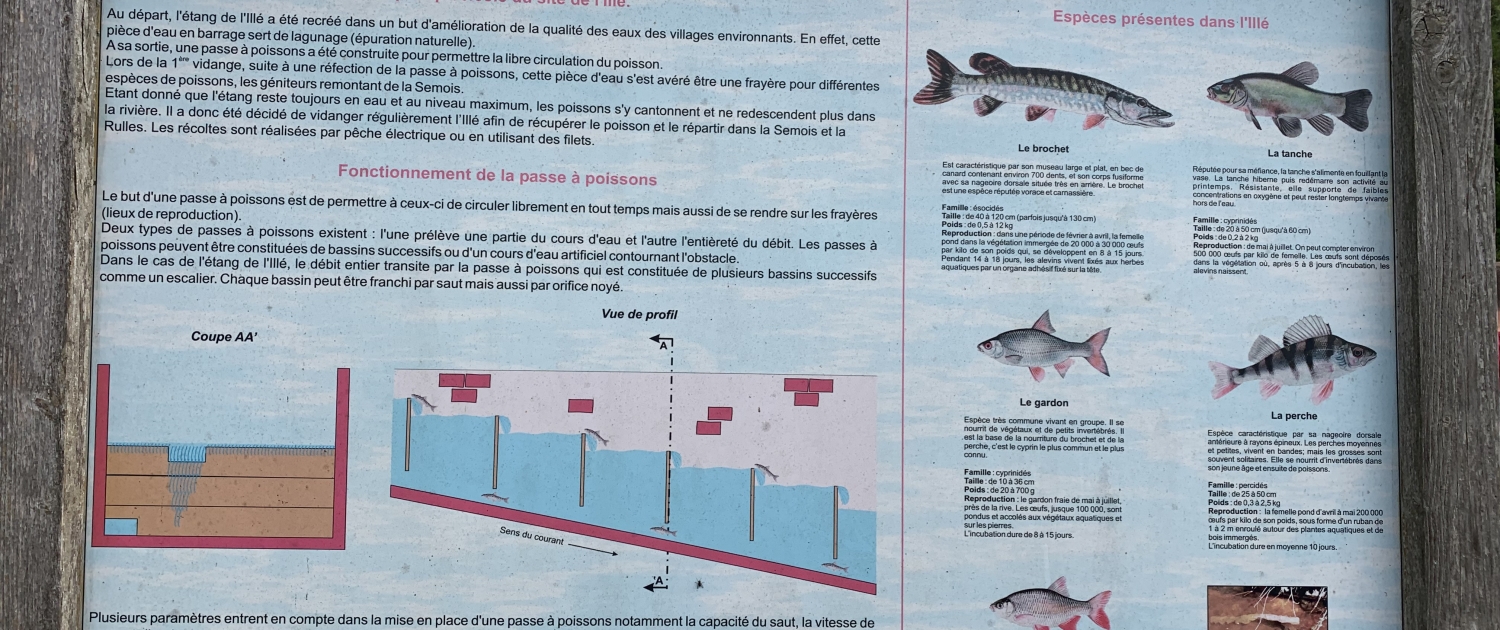 affiche informative sur le fonctionnement d'une passe à poisson