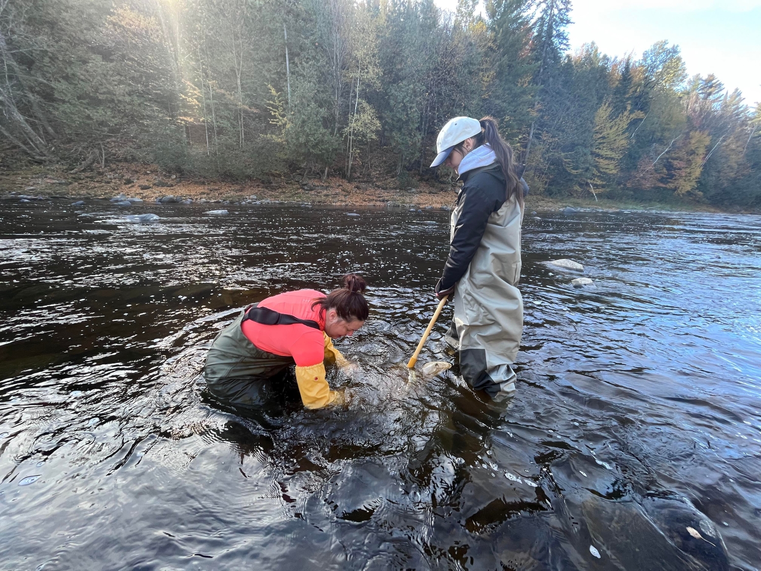 20221003_benthos-riviere-Famine Deux scientifiques prélèvent des insectes aquatiques dans une rivière à la fin de l'été au Québec