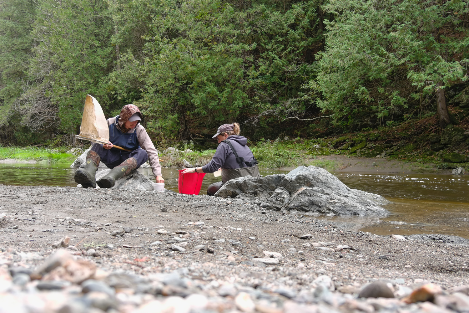 Benthos-riviere-desFermes Deux scientifiques prélèvent des insectes aquatiques sur le bord d'une rivière.