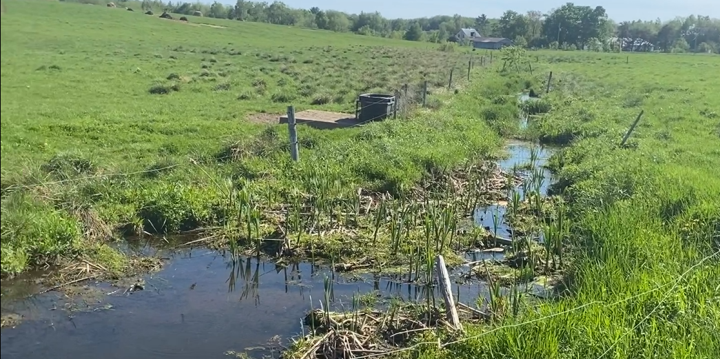 ruisseau en milieu agricole, printemps 2022 Photographie d'n ruisseau en milieu agricole, bordé de paturages.