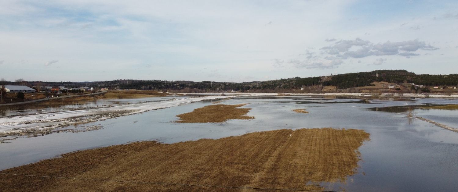Plaine inondée, secteur St-Joseph-de-Beauce, 2021 Photographie de paysage de champs inondés à la fin de l'hiver.