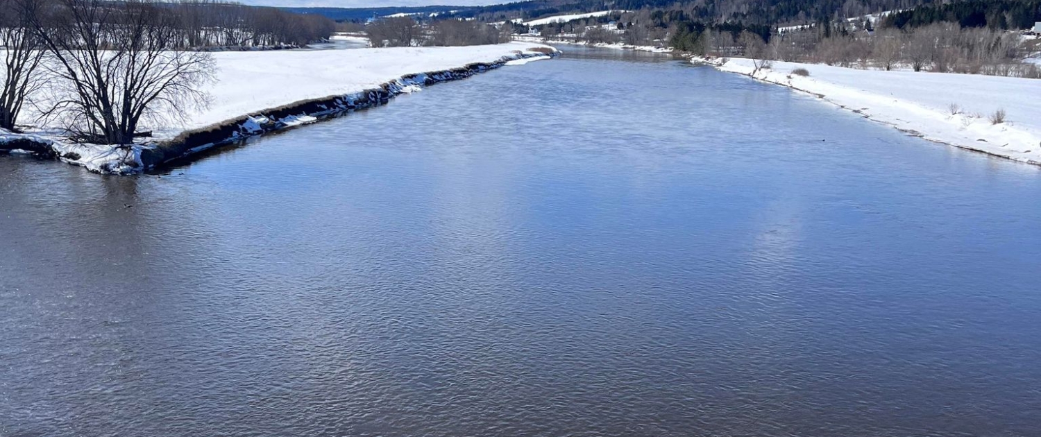 Riviere Chaudiere Notre-Dame-des-Pins Suivi de quallité de l’eau sur la rivière Chaudière à Notre-Dame-des-Pins