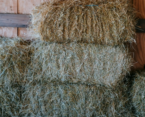 pexels-barbara-olsen-7882572 Quelques balles de paille empilées et stockées dans une grange.