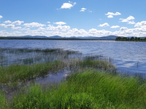 marais-ferme-piopolis (12)