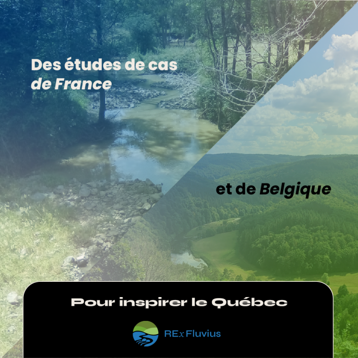 3_REx-Introduction(2)