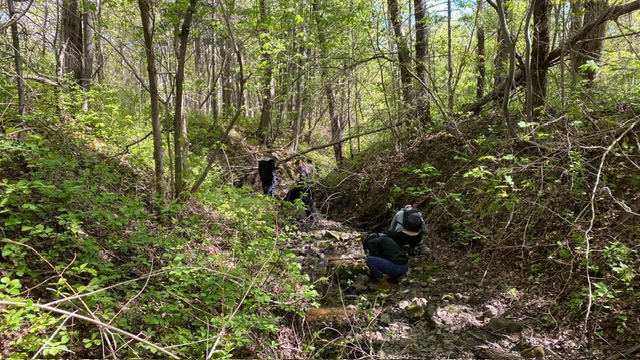 bioblitz